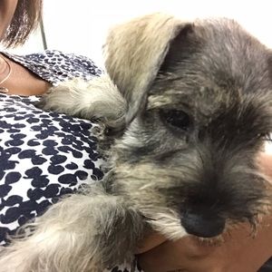 Meet your Posher, Shelia